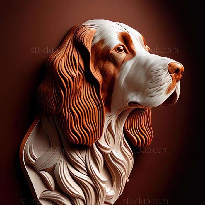 st Irish Red and White Setter dog